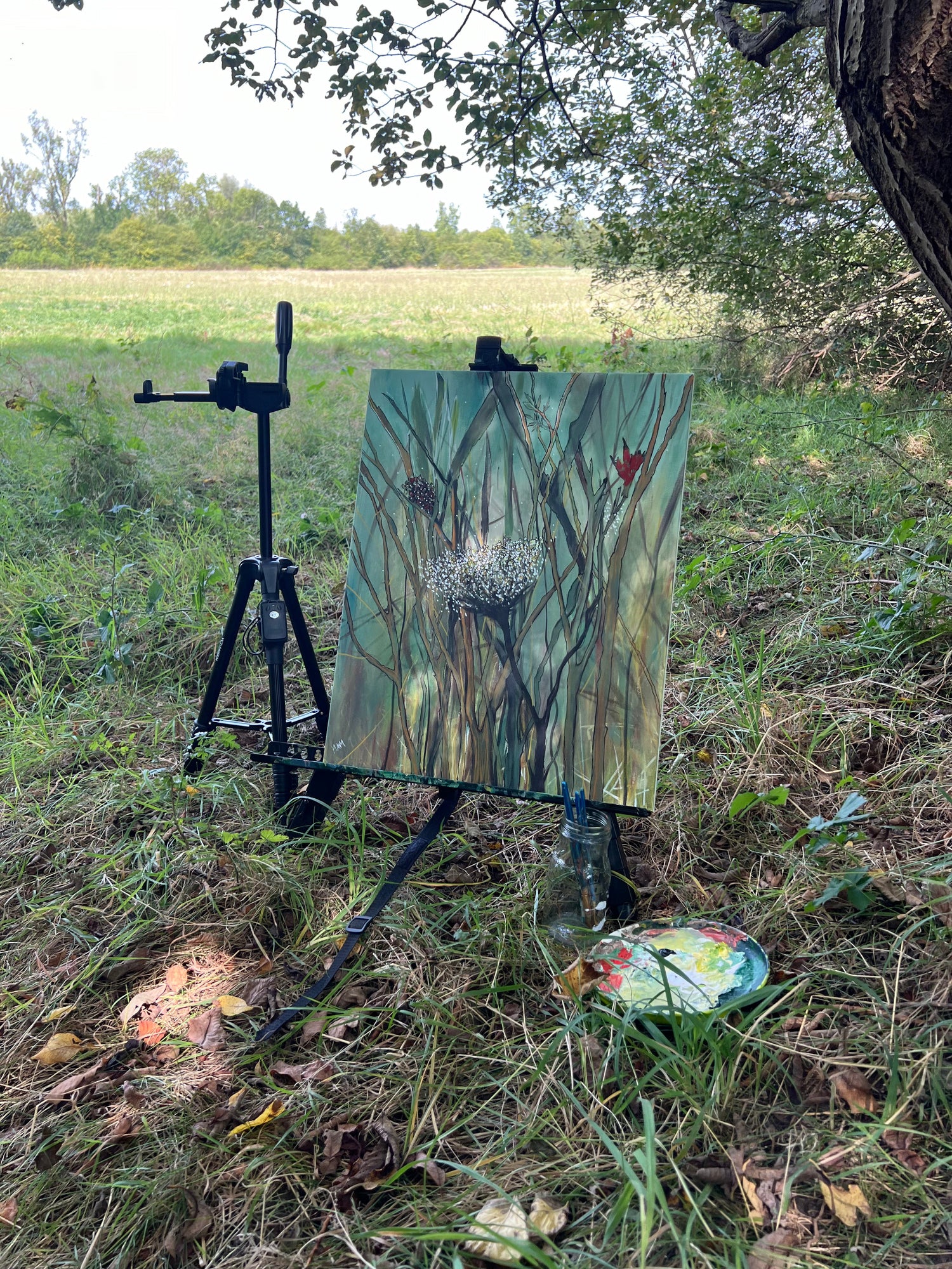 Wildflowers Collection